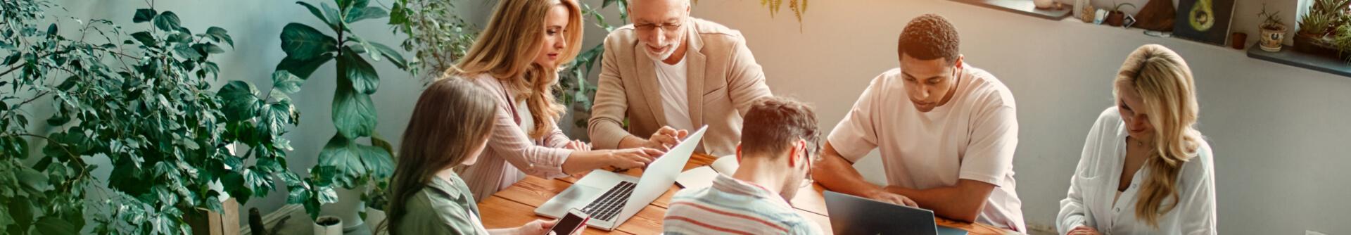 Accounting & Bookkeeping